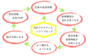 csfプラクティス効果